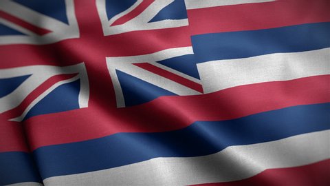 Closeup view of Hawaii state flag. The states great seal and symbol. One of the USA 50 states. Flag waving and blowing in wind. loopable 16 seconds video. High quality cloth textures. 