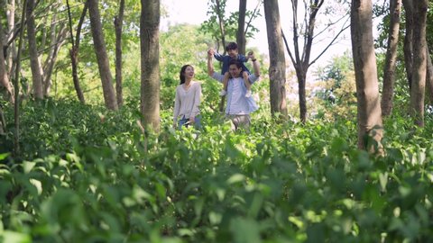 young asian couple and son having fun enjoying nature walking through green field in woods