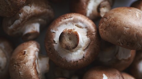 Top View Of Uncooked Fresh Raw Royal Champignon Mushrooms Rotating Close Up.