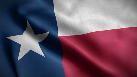 Closeup view of Texas state flag. The states great seal and symbol. One of the USA 50 states. Flag waving and blowing in wind. loopable 16 seconds video. High quality cloth textures. 