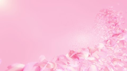 Pink Rose Petals flowing background in 4K