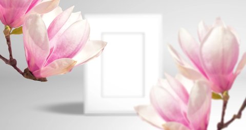 Close-up photo of a flower in picture frame. Flying camera through branches with magnolia flowers. Realistic animation for spring romantic  design