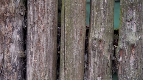 Closeup view 4k video of old wooden weathered fence in countryside.