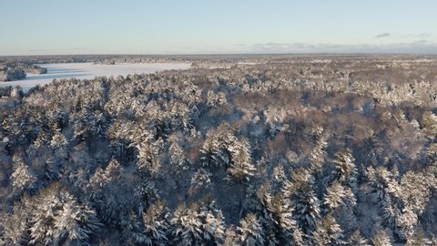 Flying above winter forest and lake on the horizon covered by fresh snow. Late afternoon light