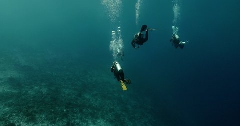 Beautiful view scuba divers swimming underwater in the Pacific Ocean. Perfect diving for leisure and holidays in clear blue water