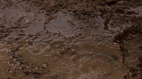 Brown dirty ground puddle with raindrops. Close up drops falling into liquid. Slow motion.