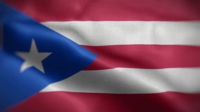 Frontal view of Puerto Rico national flag. Flag blowing in wind. High quality textures. loopable 16 seconds video.