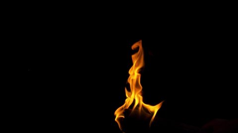Burning fire. Bonfire. Closeup of flames burning on black png background.