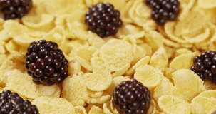 Flakes with Blackberries pouring with Yogurt healthy food breakfast 4K cooking video
