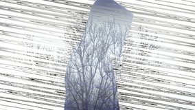 Glitch Effects Video Clip With Incognito Man And Bare Trees Blending By Double Exposure