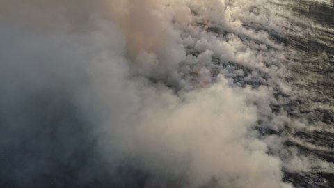 Aerial view of big smoke clouds and fire on the field. Flying over wildfire and plumes of smoke. Natural disaster due to extreme heat and climate change