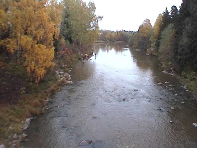 Autumn colors near the river (five)