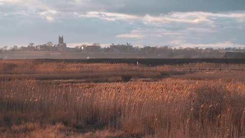 Wide shot of cattails and water reed plants near the wetlands of the Bird Sanctuary, wildlife refuge near historical Newport RI, warm sunset light, building on the horizon, cloudy colorful sky