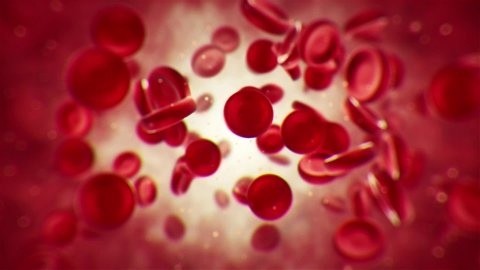 Red blood cells moving in the blood stream. The blood vessels are the components of the circulatory system that transports blood throughout the human body. These vessels transport cells, nutrien
