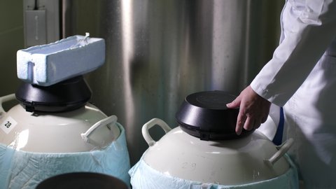 Midsection of lab assistant taking frozen ovum from reservoir with liquid nitrogen and placing in cryobank for storage and later use, cryotechnologies in embryology and reproductive medicine