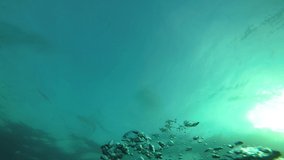 Slow motion underwater bubbles video	