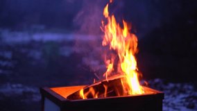 Footage of night fire against a dark night, evening in winter. Snow in the background. Bonfire flame in a beautiful blue atmosphere. Barbecue stock video