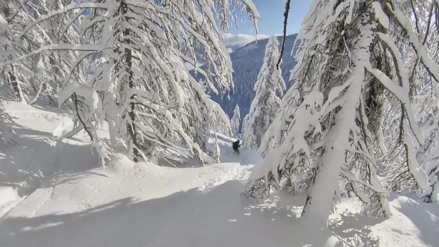 Snowboard powder landscape montagne magic