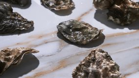 Video of fresh oysters on marble background
