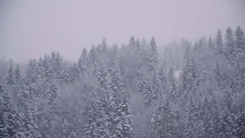 snowflakes against snow covered trees in mountains