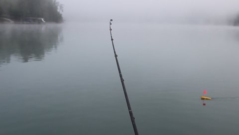 Fishing rod and planer board on a foggy morning while trolling along Norris Lake in La Follette, Tennessee