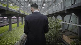Camera following young Caucasian man in suit walking along rows with plants in greenhouse. Professional auditor inspecting production in glasshouse. Lifestyle, control, business, agriculture. - Powered by Shutterstock - Get 15% off with code: PIKWIZARD15