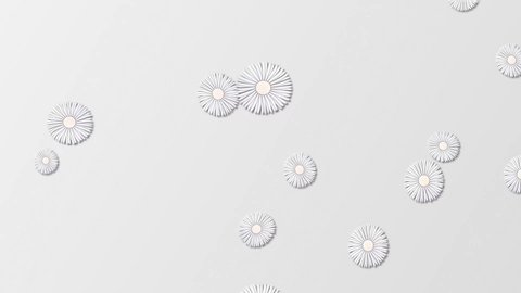 Decorative floral ornament isolated on white background motion graphics. Loop 20 seconds