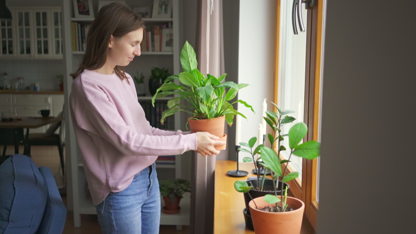 Young woman puts plants on a windowsill in her trendy city apartment. Girl decorates the apartment. Creates comfort at home. 4k | Shutterstock HD Video #1047081394