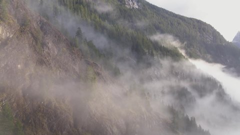 Fog River Valley Vancouver Island Drone Inspire 2 footage, Large Oldgrowth trees sunset, Pacific north west, BC Tahsis, Tofino Beautiful calm drone footage. 