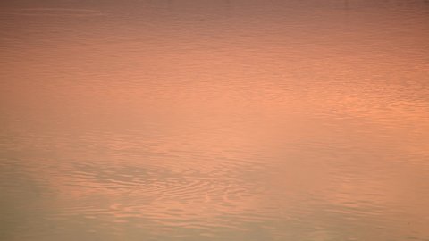 Beautiful ray is reflected on the surface of the water at sunset.