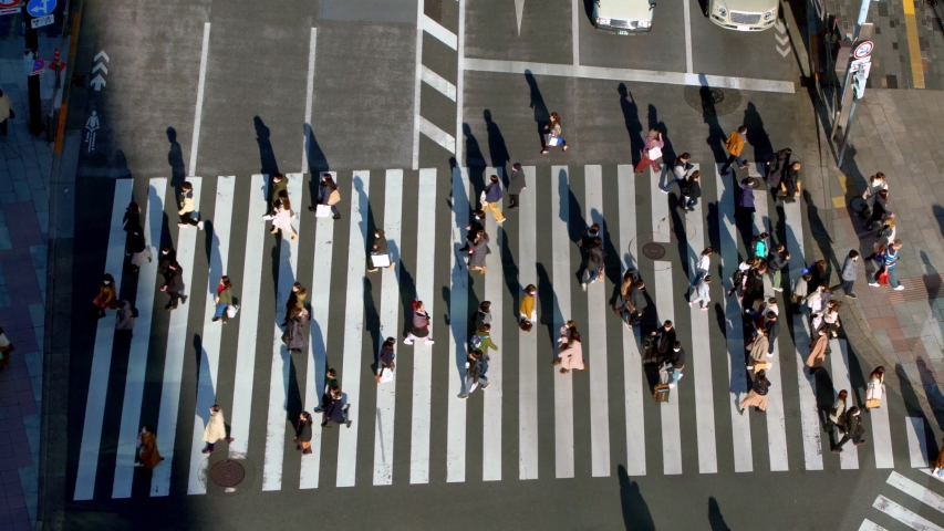 Tokyo, Japan-02 February, 2020: 4K, Elevated view over a crowd pedestrian crossing in road intersection with light of a sunset. Asia downtown at day. Metropolitan City-Dan | Shutterstock HD Video #1047142000