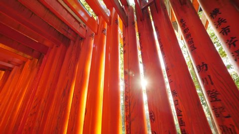 View Of Traditional Japanese Torii Gates With Sunlight In The Background. 4K Tourism Concept Slow Motion Footage. Fushimi Inari Shrine, Kyoto, Japan.