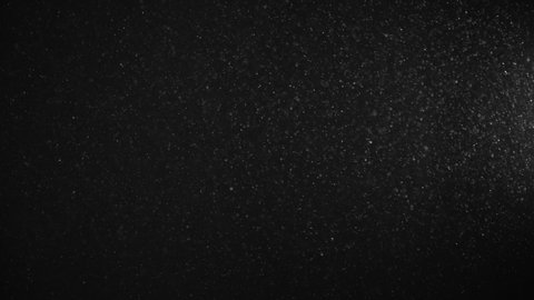 Natural Organic Dust Particles Floating On Black Background. Dynamic Dust Particles Randomly Float In Space With Slow Motion. Shimmering Glittering Particles With Bokeh. Real Colored Particles In Air.