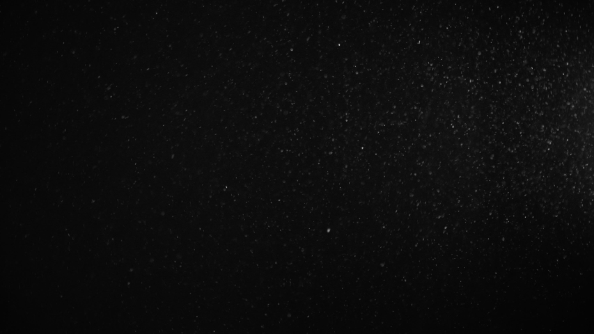 Natural Organic Dust Particles Floating On Black Background. Dynamic Dust Particles Randomly Float In Space With Slow Motion. Shimmering Glittering Particles With Bokeh. Real Colored Particles In Air. | Shutterstock HD Video #1047160753