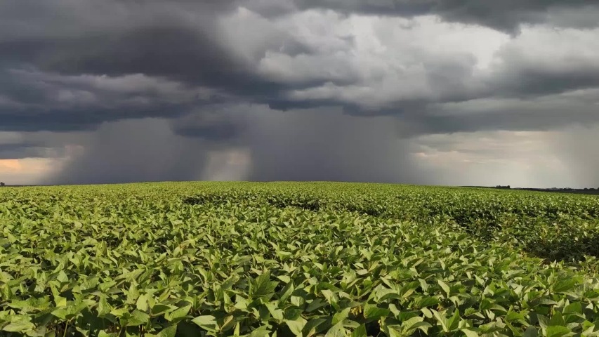 Image of rain-laden clouds arriving over a large soy plantation in southern Brazil. Agriculture and grain commodities for export. Agricultural production fields. Storm. Royalty-Free Stock Footage #1047169855