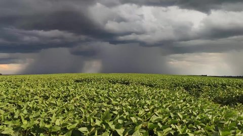 Image of rain-laden clouds arriving over a large soy plantation in southern Brazil. Agriculture and grain commodities for export. Agricultural production fields. Storm.
