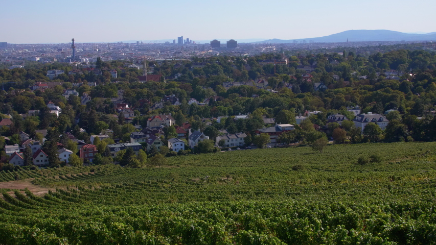 VIENNA AUSTRIA wide establishing pan shot of the entire city, foreground green vineyards, background city center and the Danube river, tourist attraction for sightseeing in Vienna