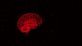 Model of the human brain is spinning in space. The effect of the plexus. 3D rendering. The particles rotate around the center. Rule of thirds. Inflammation of the brain. Headache. 4K. Animation video 