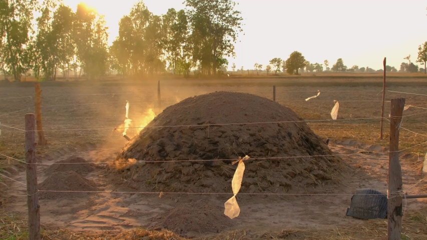 Burn wood into charcoal by covering the soil.