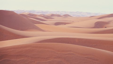 Horizonless Sand Dunes in Wahiba Sands Desert, Oman. Pan Shot