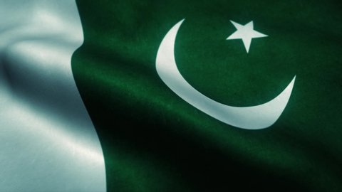 Pakistan flag waving in the wind. National flag of Pakistan. Sign of Pakistan seamless loop animation. 4K