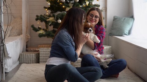 Two women with dog hugging near Christmas tree