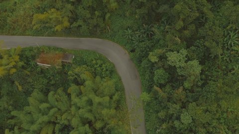 Aerial establishing shot of cars driving on a mountainous rainforest road in Puerto Rico. Cinematic 4K footage.