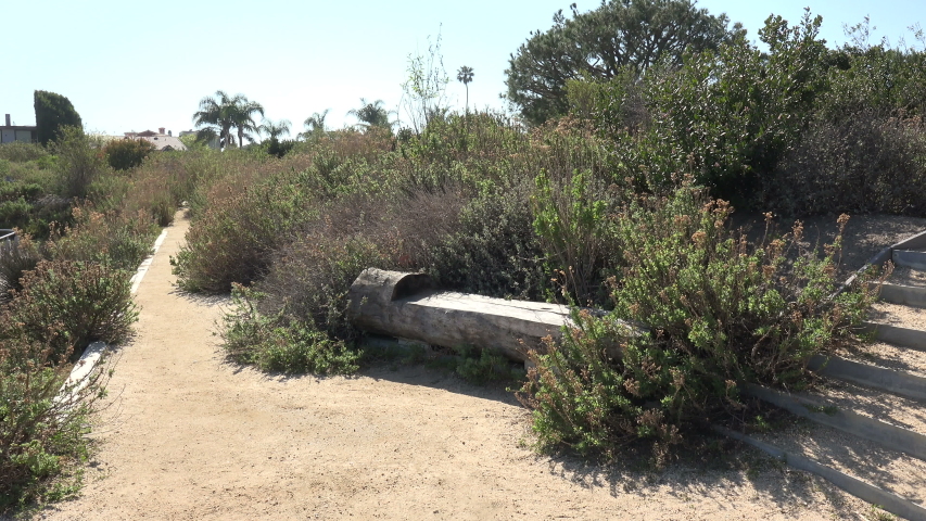 A log carved into a bench on a nature trail