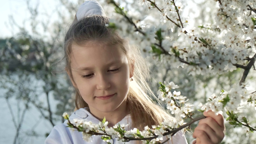 A little girl stands on the Bank of a river near a flowering tree and sniffs flowers on a Sunny day in spring.
