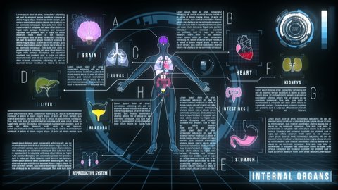 Medical Screen infographics with human internal organs and HUD elements animation. Showing body shape and icons of brain, lungs, liver, heart, kidney, intestines, bladder, stomach, reproductive system.