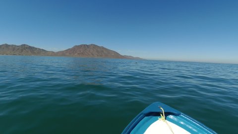 Whale watching in Mexico Baja California Sur