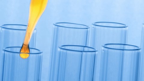 Scientist dropping yellow chemical liquid or essential oil to test tube, Blue tone laboratory. lab chemistry or science research and development concept.