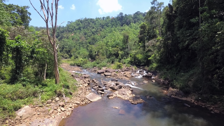 River in the jungle - Camera rotation, panorama. Landscape on Sinharaja Forest Reserve, Sri Lanka