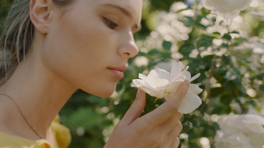 beautiful woman smelling roses in blossoming rose garden enjoying natural scent